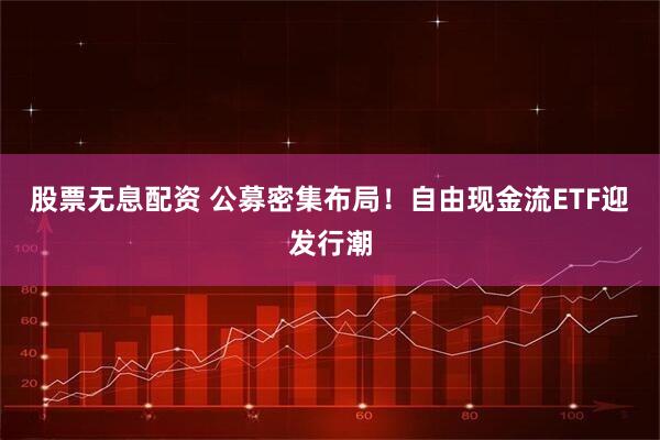 股票無息配資 公募密集布局！自由現(xiàn)金流ETF迎發(fā)行潮