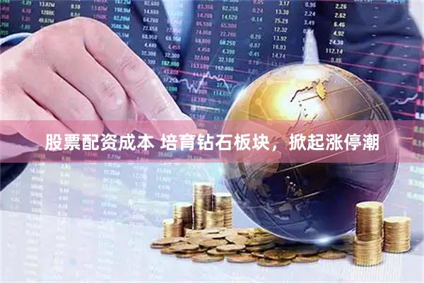 股票配資成本 培育鉆石板塊，掀起漲停潮